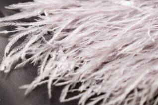 untitled (197 of 226)